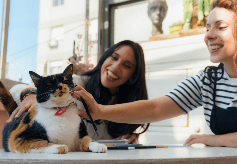 Why Being a Spare Human is the Best Job Ever