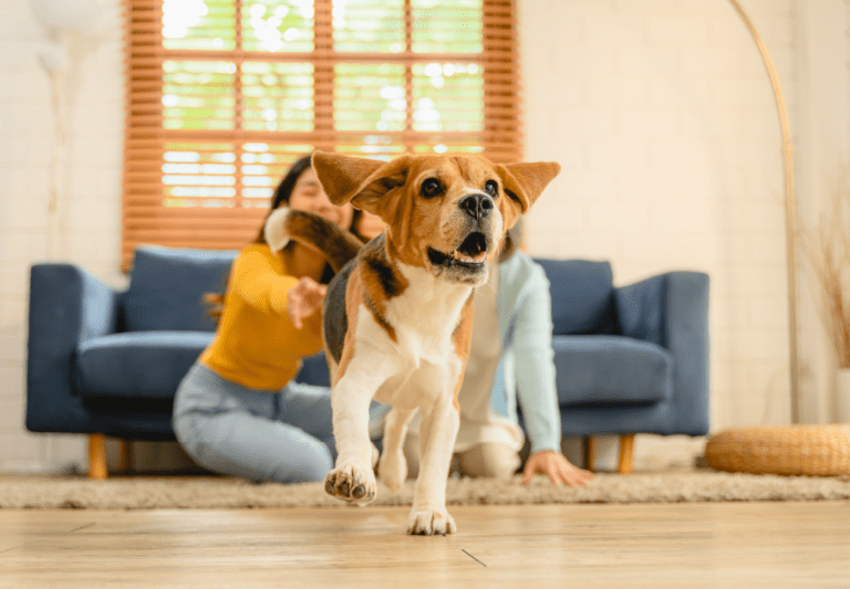 10 Hilarious Things Only Spare Humans Understand