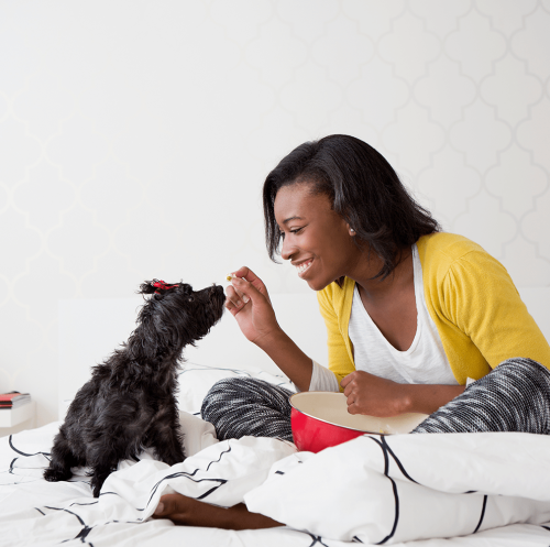 Smiling woman in a yellow cardigan playing nose-to-nose with a happy small black dog wearing a red bow, showing the playful bond between pets and their humans.